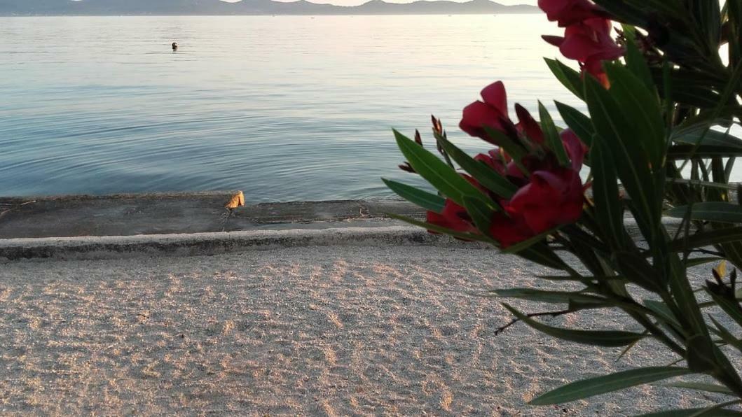 Apartmán Lara Zadar